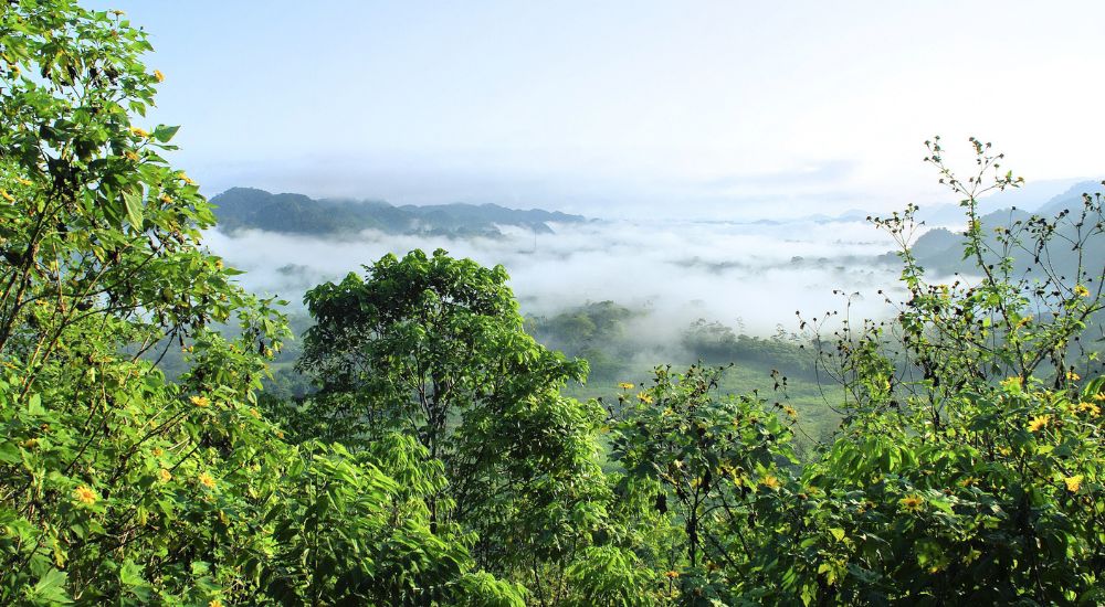 Free Tours y Actividades en el mundo 47 Amazonia