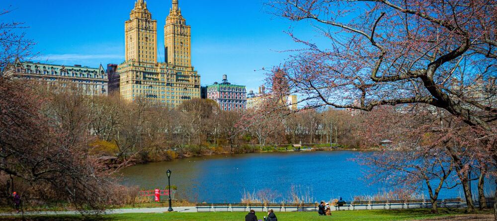 Central Park Nueva York