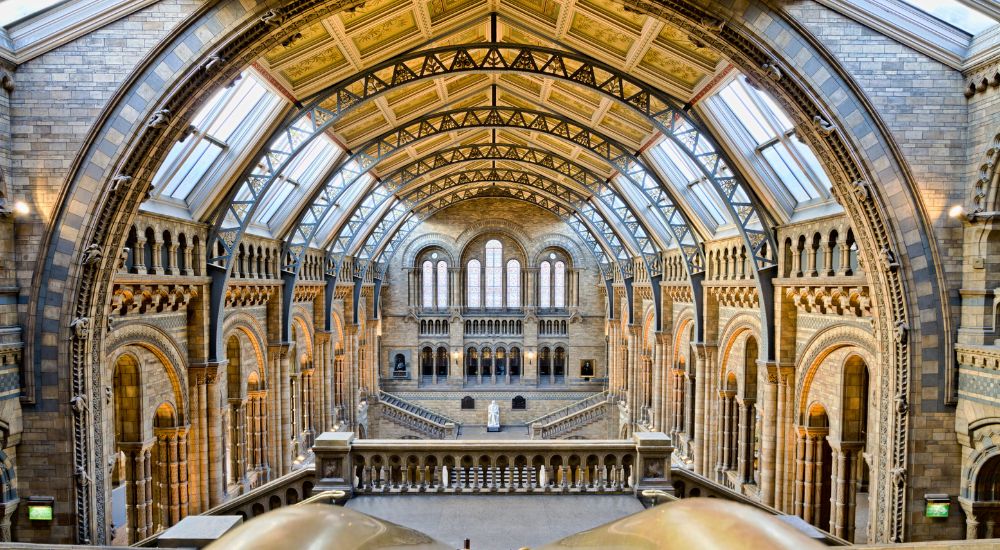 Museo de Historia Natural Londres