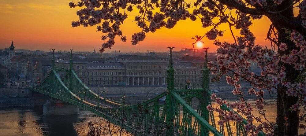 Puente de la Libertad Budapest