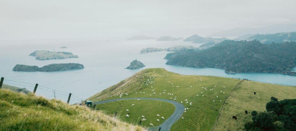 Waikato Nueva Zelanda