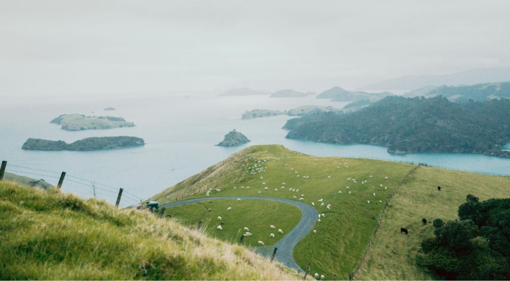 Waikato Nueva Zelanda