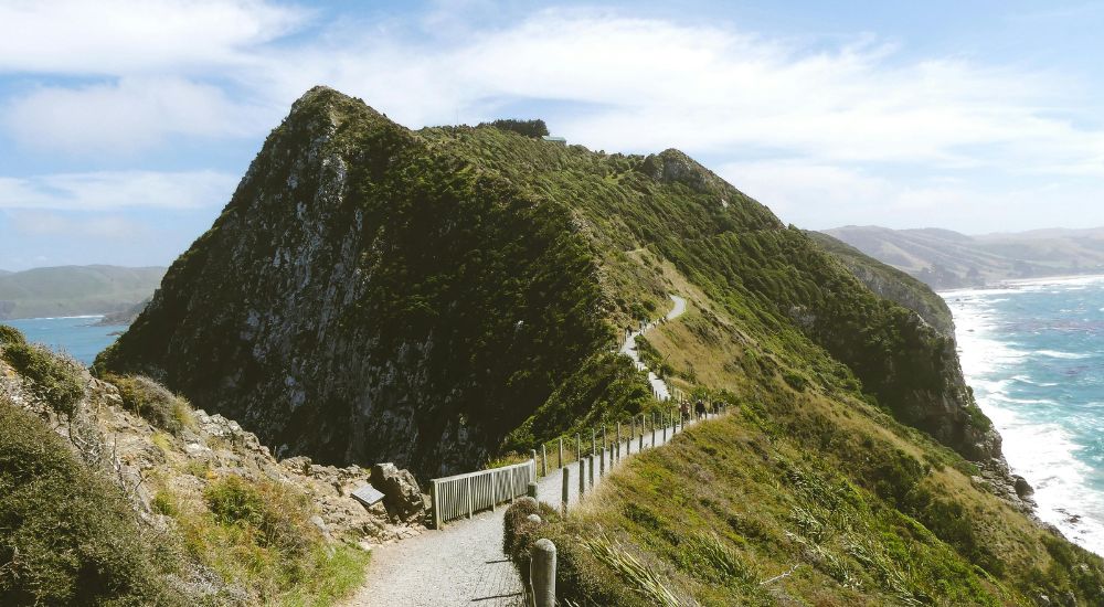 dunedin Nueva Zelanda