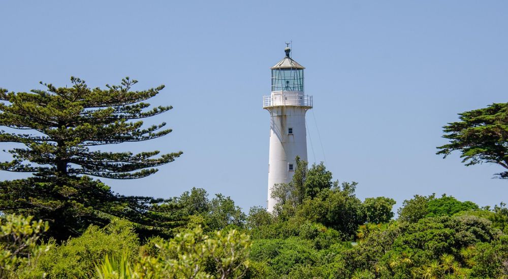 tiritiri matangi island Nueva Zelanda