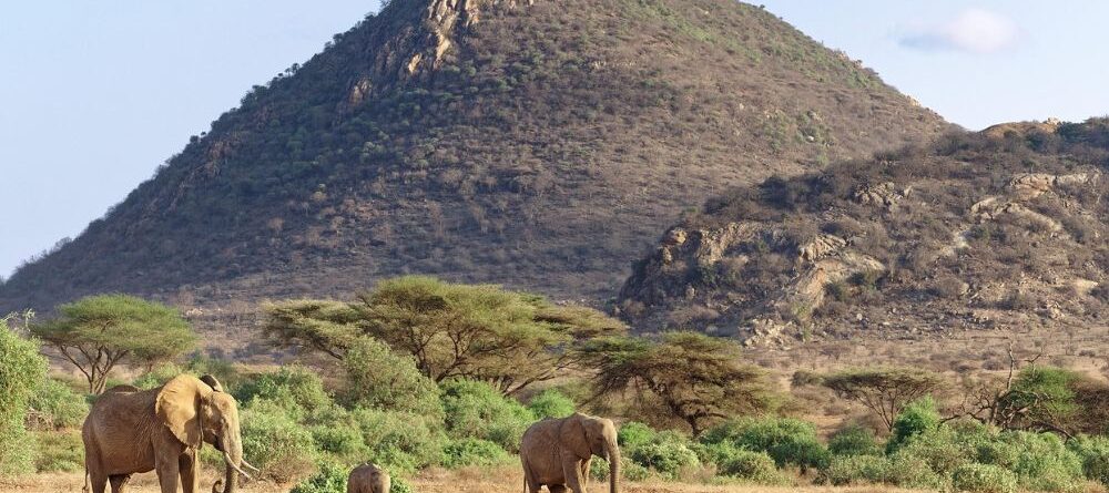 Reserva nacional de Samburu