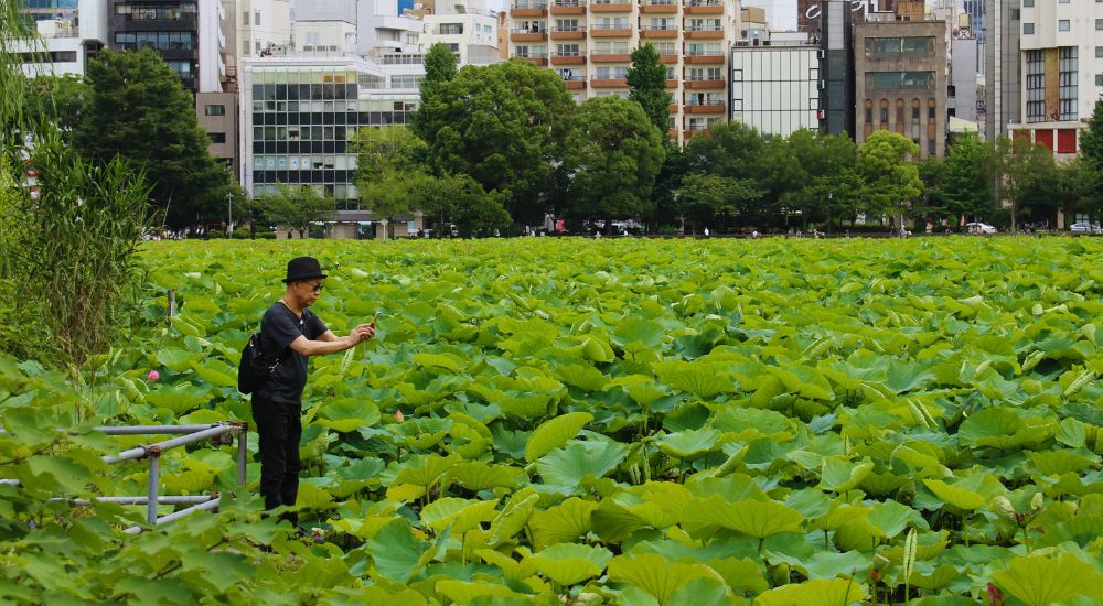 Parque Ueno