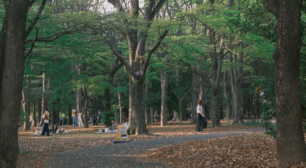 Parque Yoyogi