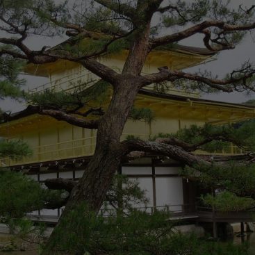 Actividades en Kioto