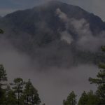 Actividades en La Palma